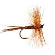 Pheasant Tail