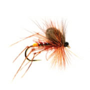 CdC Hopper Fiery Brown