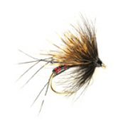 Half Hog Hopper Black Red