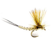 Barbless Mohican May
