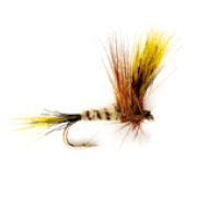 Corrib Wulff