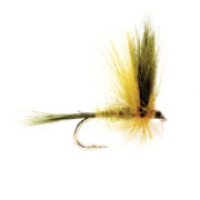 Golden Olive Wulff
