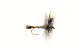 May Grey Wulff