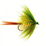 May Olive Drowned