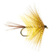 May Yellow
