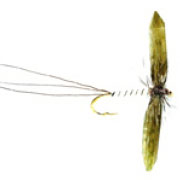 May Spinner