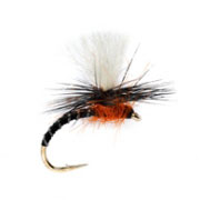 Flexi Black