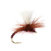 Flexi Claret