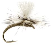 Grey Emerger