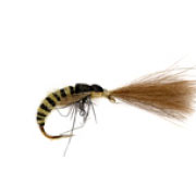 Grannom Pupa CdC Emerger