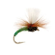 Klink Caddis Green