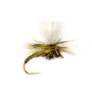 Klink Light Olive