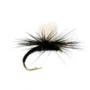 Klink Black Foam