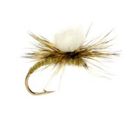 Klink Olive Foam