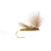 Blue Winged Olive CdC