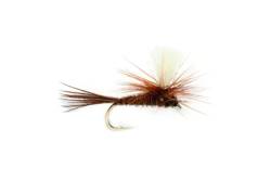 Para Pheasant Tail