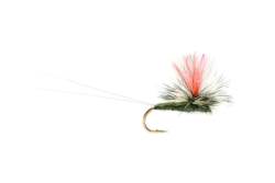 Twinkling Gulper (CJ)