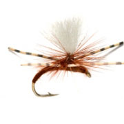 Kicking Klink Brown