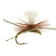 Kicking Klink Olive