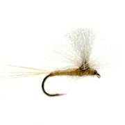 Paradun Lt Olive Minnikin's