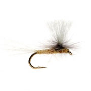Para Dun Pale Watery Minnikin's