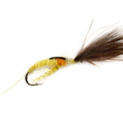 Yellow May CdC