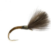 Proto-Cul Quill