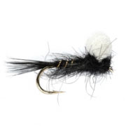 Nymph Black