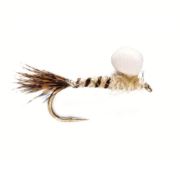 Mayfly Nymph