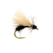 Barbless Drop Arse Ant