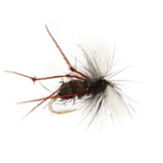 Barbless Aero Red Legs