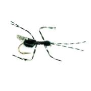 Bills Black Flying Ant