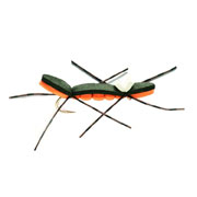 Chernobyl Ant Black Orange