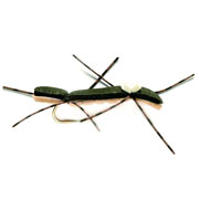 Chernobyl Ant Black Tan