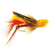Grasshopper