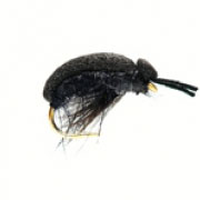 Foam Beetle (Carnhills)