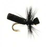 Ant Hi-Float