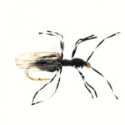 Flying Ant Black