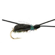 Kicking Beetle Peacock