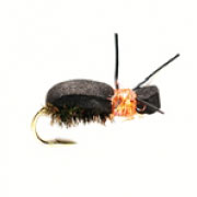 Kicking Beetle Orange
