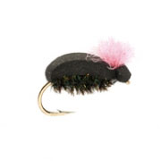 Target Beetle Pink