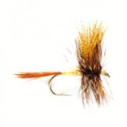 March Brown