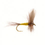 Blue Winged Olive
