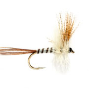 Mayfly Brown