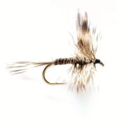 Mosquito