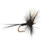 Midge Trico Thorax