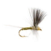 Blue Winged Olive Thorax