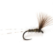 Barbless Upwing CdC (JL)