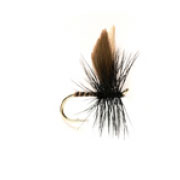 Black Gnat