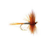 Blue Winged Olive
